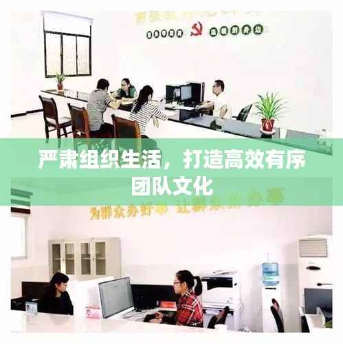 严肃组织生活,打造高效有序团队文化