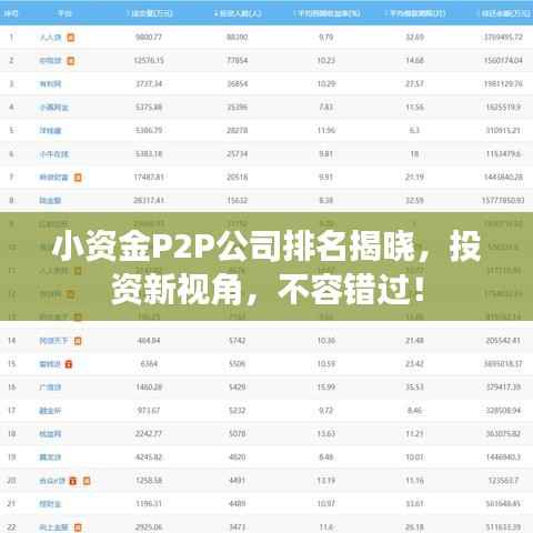 小资金P2P公司排名揭晓,投资新视角,不容错过!