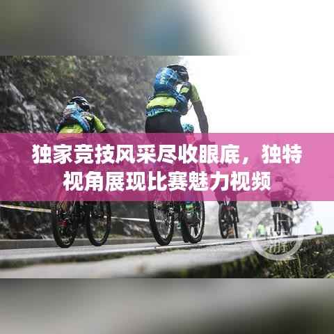 独家竞技风采尽收眼底,独特视角展现比赛魅力视频