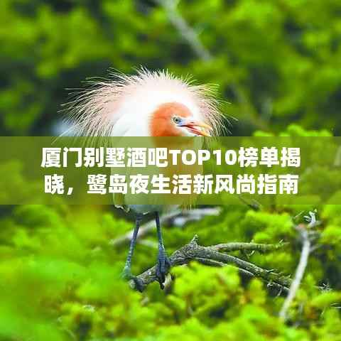 厦门别墅酒吧TOP10榜单揭晓,鹭岛夜生活新风尚指南