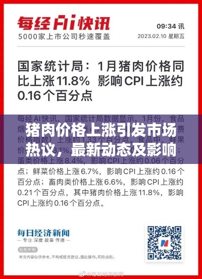 猪肉价格上涨引发市场热议,最新动态及影响分析
