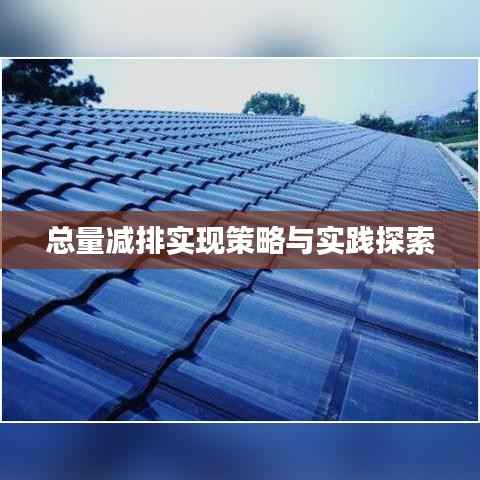 总量减排实现策略与实践探索