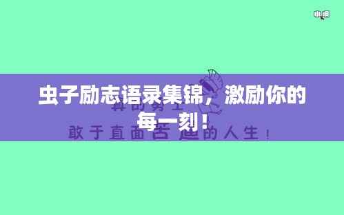 虫子励志语录集锦，激励你的每一刻！