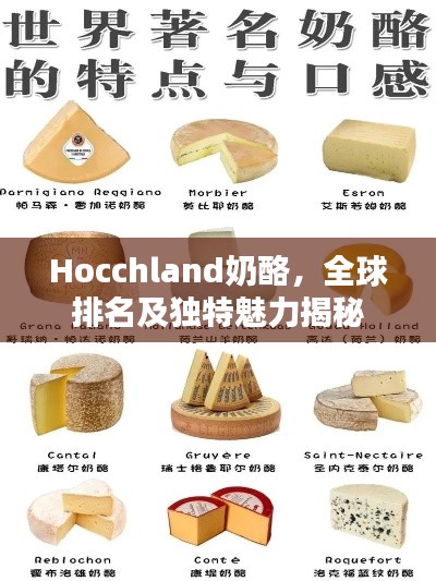 Hocchland奶酪，全球排名及独特魅力揭秘