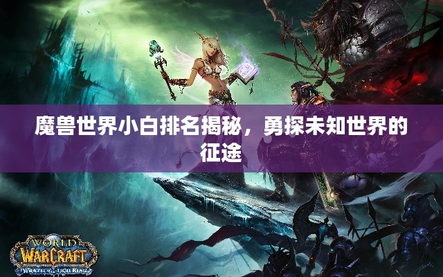 魔兽世界小白排名揭秘，勇探未知世界的征途