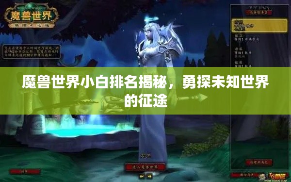 魔兽世界小白排名揭秘,勇探未知世界的征途