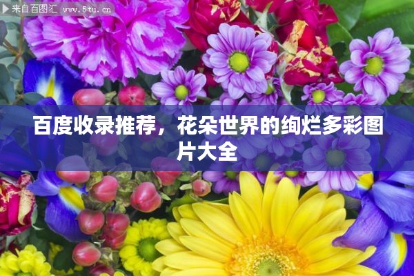 百度收录推荐，花朵世界的绚烂多彩图片大全
