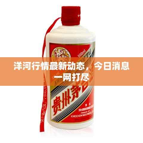 洋河行情最新动态,今日消息一网打尽