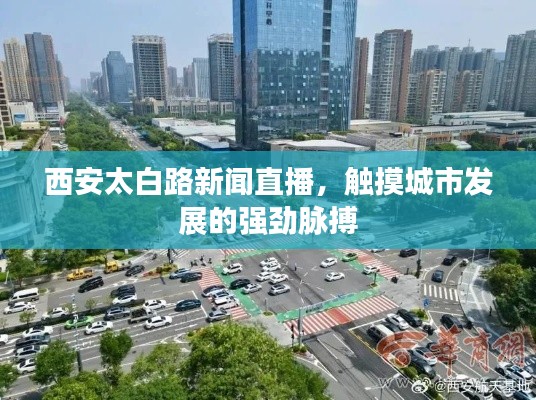 西安太白路新闻直播,触摸城市发展的强劲脉搏