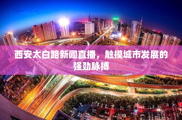 西安太白路新闻直播,触摸城市发展的强劲脉搏