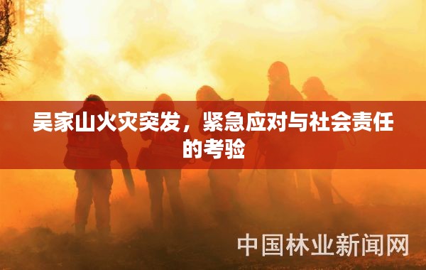 吴家山火灾突发,紧急应对与社会责任的考验