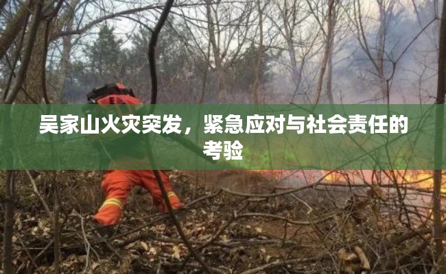 吴家山火灾突发,紧急应对与社会责任的考验