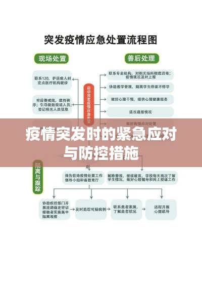 疫情突发时的紧急应对与防控措施