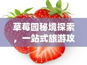 草莓园秘境探索，一站式旅游攻略