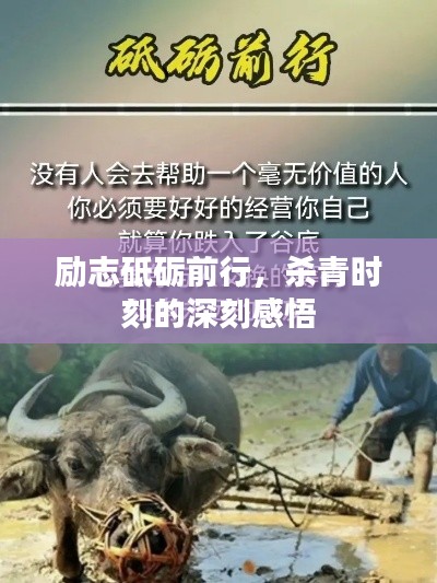 励志砥砺前行,杀青时刻的深刻感悟