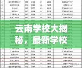 云南学校大揭秘,最新学校排名榜单出炉!