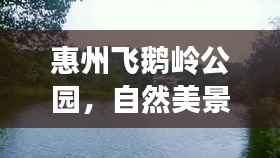 惠州飞鹅岭公园，自然美景与文化的和谐交融