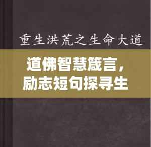 道佛智慧箴言,励志短句探寻生命智慧之路