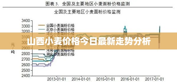 山西小麦价格今日最新走势分析