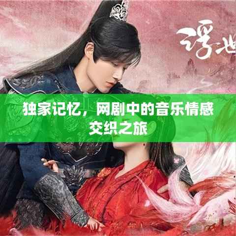 独家记忆,网剧中的音乐情感交织之旅