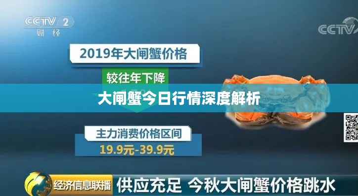 大闸蟹今日行情深度解析