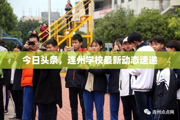 今日头条，连州学校最新动态速递