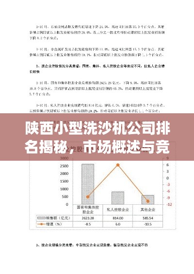 陕西小型洗沙机公司排名揭秘,市场概述与竞争态势分析