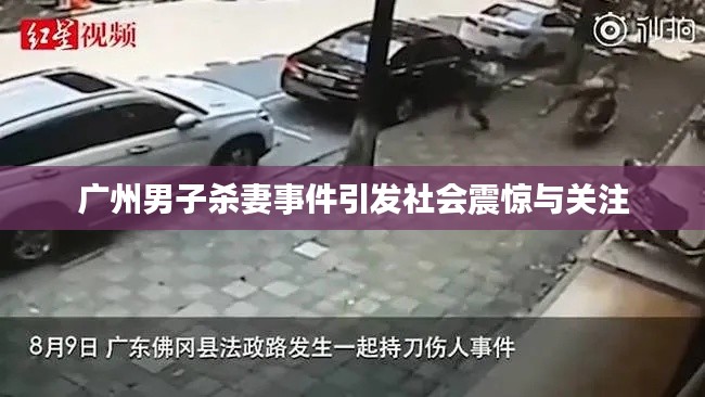 广州男子杀妻事件引发社会震惊与关注