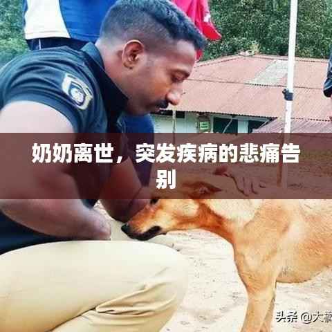 奶奶离世,突发疾病的悲痛告别