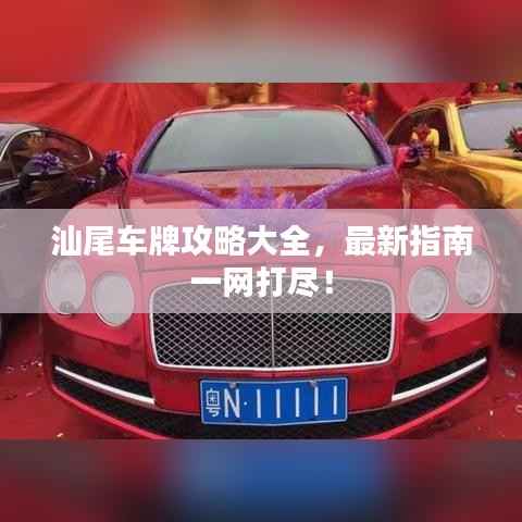 汕尾车牌攻略大全,最新指南一网打尽!