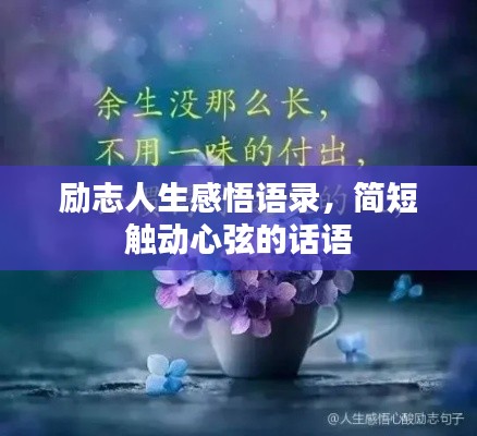 励志人生感悟语录,简短触动心弦的话语