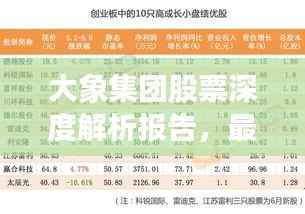 大象集团股票深度解析报告，最新动态与投资建议