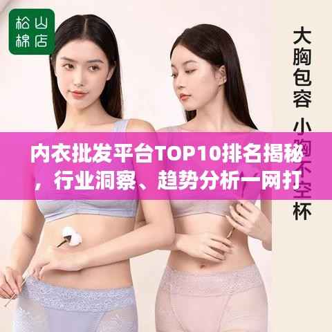 内衣批发平台TOP10排名揭秘,行业洞察、趋势分析一网打尽
