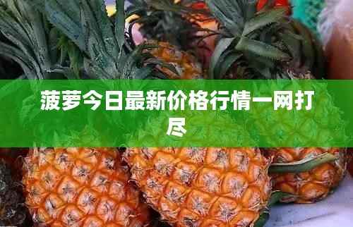 菠萝今日最新价格行情一网打尽