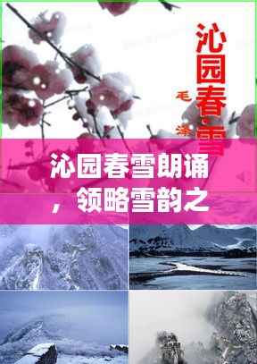 沁园春雪朗诵,领略雪韵之美,领略自然之魅力