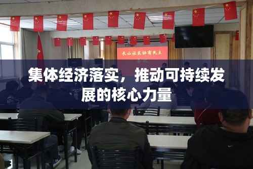 集体经济落实,推动可持续发展的核心力量