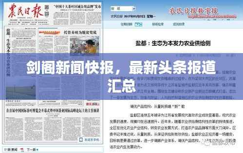 剑阁新闻快报,最新头条报道汇总