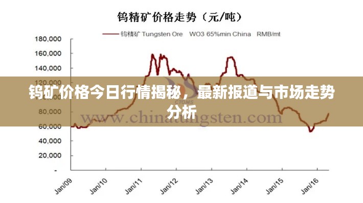 钨矿价格今日行情揭秘,最新报道与市场走势分析