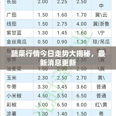 蔬菜行情今日走势大揭秘，最新消息更新