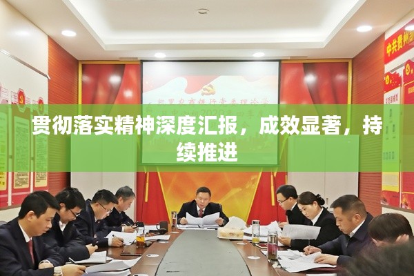 贯彻落实精神深度汇报,成效显著,持续推进