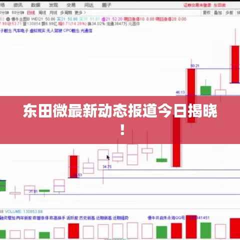 东田微最新动态报道今日揭晓!