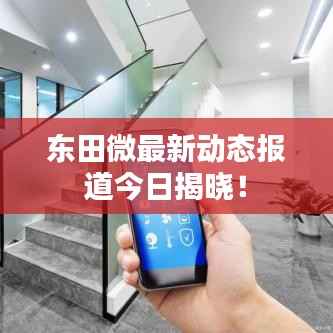 东田微最新动态报道今日揭晓!