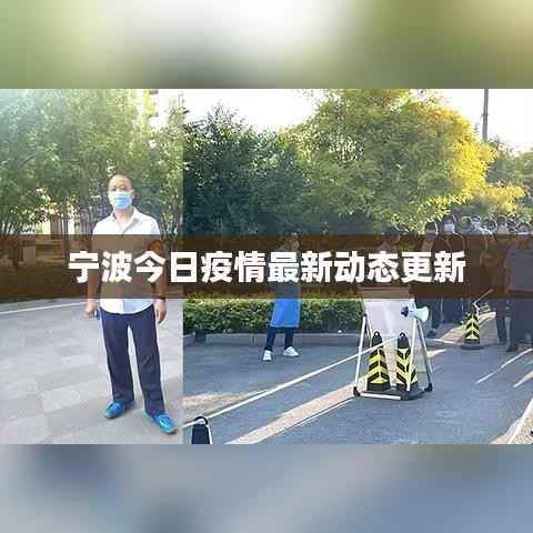 宁波今日疫情最新动态更新