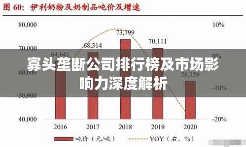 寡头垄断公司排行榜及市场影响力深度解析