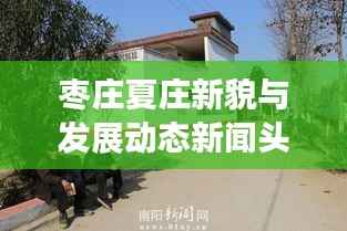 枣庄夏庄新貌与发展动态新闻头条