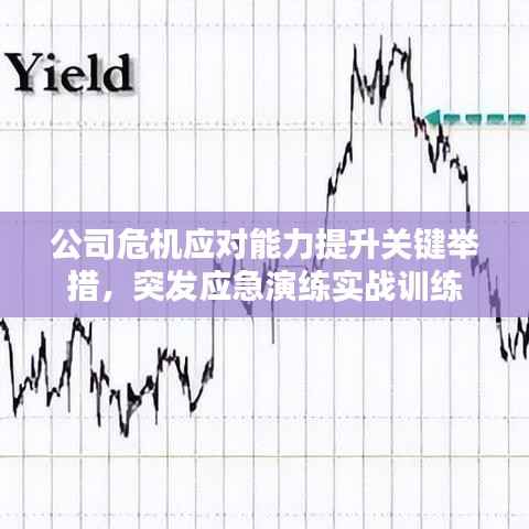 公司危机应对能力提升关键举措,突发应急演练实战训练