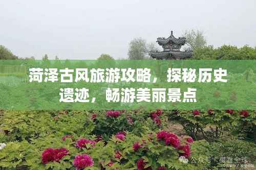 菏泽古风旅游攻略,探秘历史遗迹,畅游美丽景点