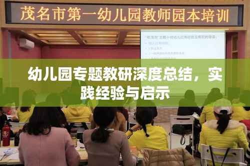 幼儿园专题教研深度总结，实践经验与启示