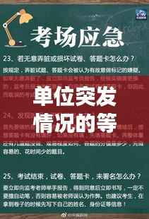 单位突发情况的等级划分与应对策略揭秘,从容应对危机!
