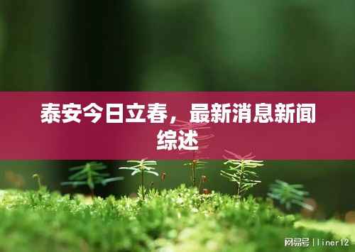泰安今日立春，最新消息新闻综述